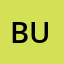 BulkPanel - Booster Favicon